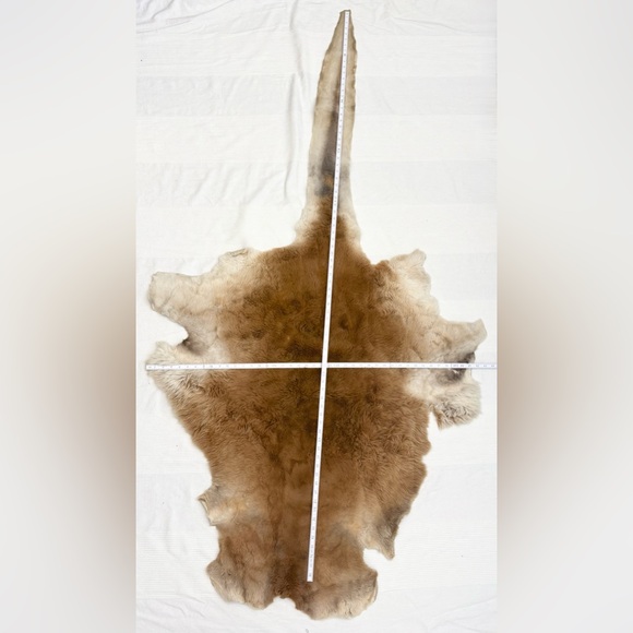 Genuine Kangaroo Animal Hide Rug - Picture 4 of 11